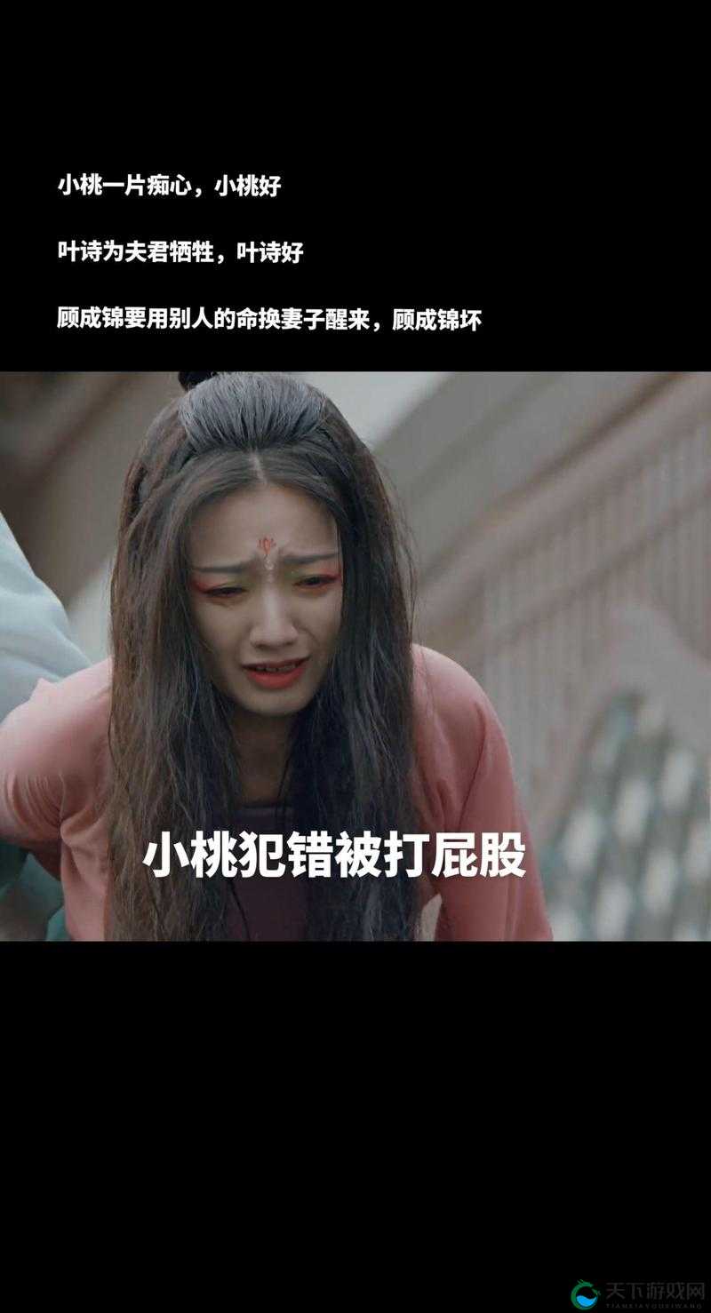 惩戒2狂热完整观看顺序指南：如何按照工作指导正确追剧，避免剧情混乱