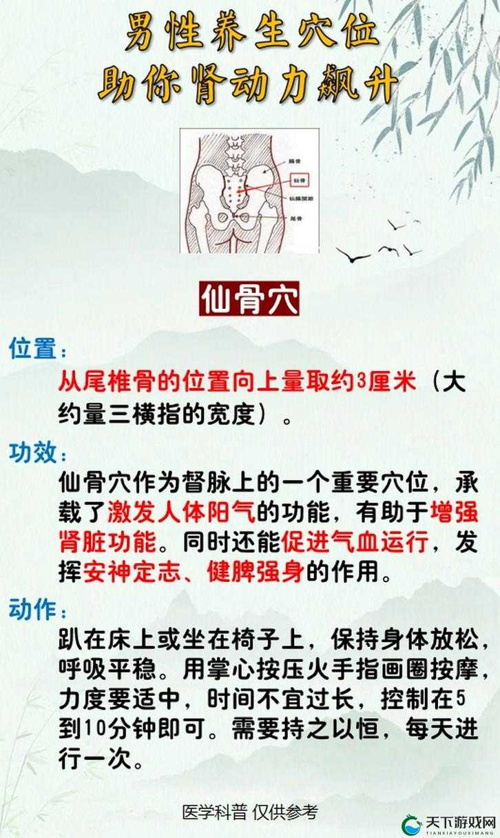 萌仙情缘经脉、根骨攻略