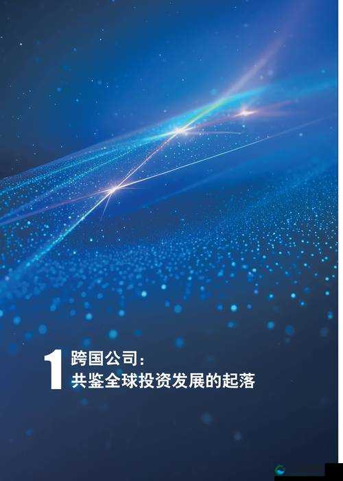 69XXX曰化探秘：深入了解其历史背景与现代影响