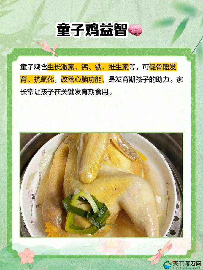 小孩子到底能不能吃童子鸡？专家解读与家长必知的关键要点小孩能吃童子鸡吗？营养专家揭秘，家长们快来了解小孩子可不可以吃童子鸡？听听营养师的专业分析与建议
