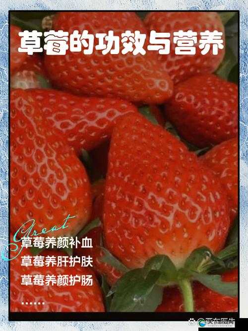 草莓视频在线版好用吗？草莓视频在线版有哪些独特功能和优势呢？