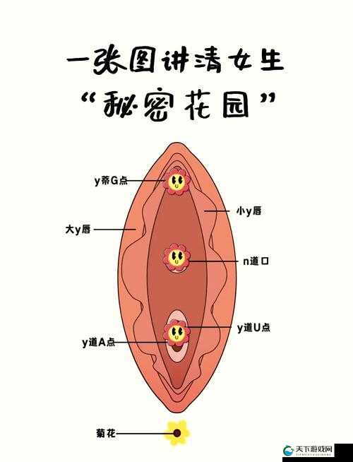 揉小花园基础手法教学图解：详细步骤与技巧分享，轻松掌握花园揉捏艺术