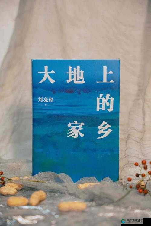 大地中文资源官网怎么样？有哪些特色和优势值得关注？快来一探究竟