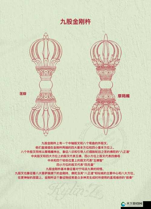什么是金刚杵入莲花的寓意？它在佛教中有何象征意义？