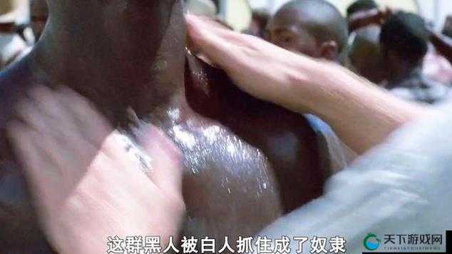 黑人极品Ⅴideos精品欧美棵：探索全球顶级视觉盛宴与文化交流