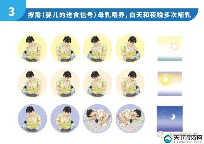 奶好大让我揉揉吃奶：揭秘哺乳期女性的乳房护理与健康饮食指南