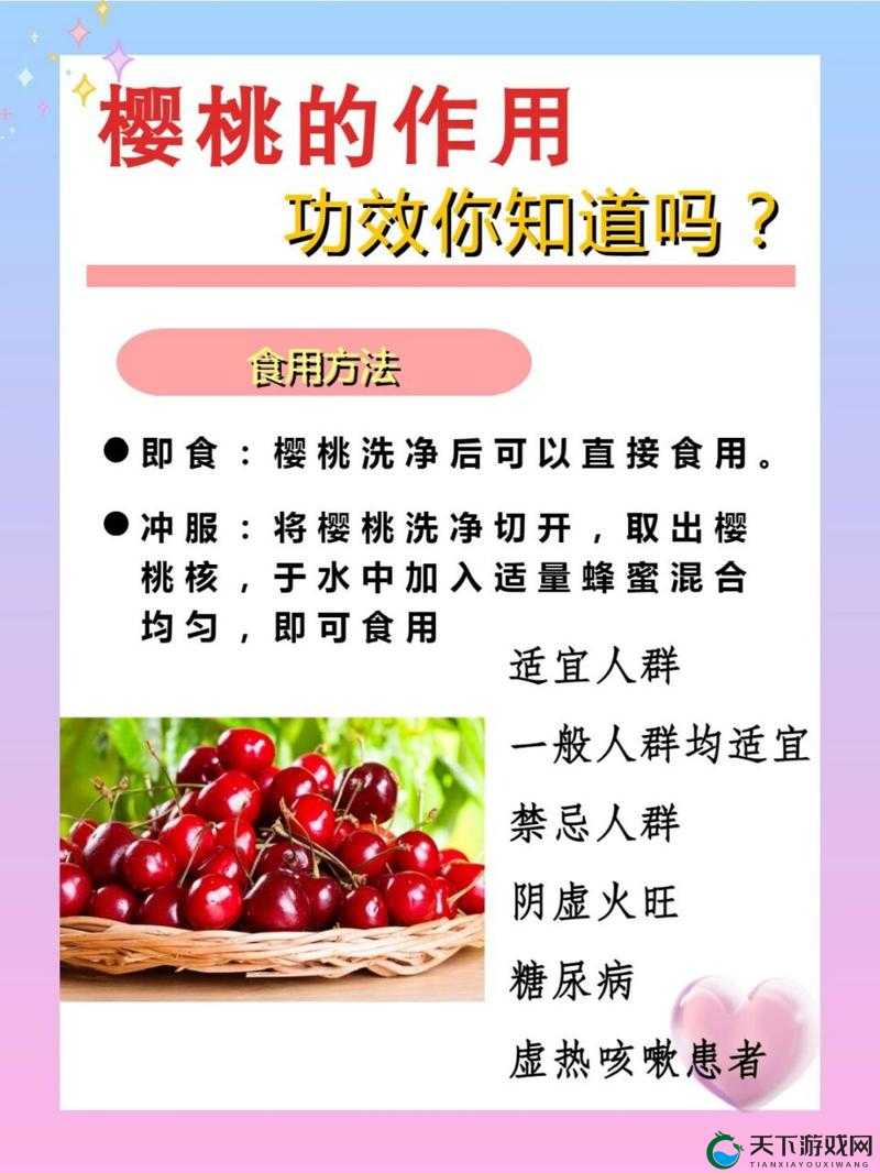 樱桃网是做什么的？带你深入了解樱桃网的功能与特色