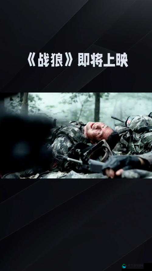 战狼 5 何时上映？大牛影库将带来怎样震撼的呈现？