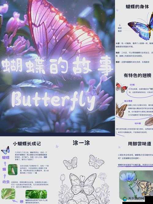 如何看待蝴蝶传禖 4,4.94.中的情节和主题？