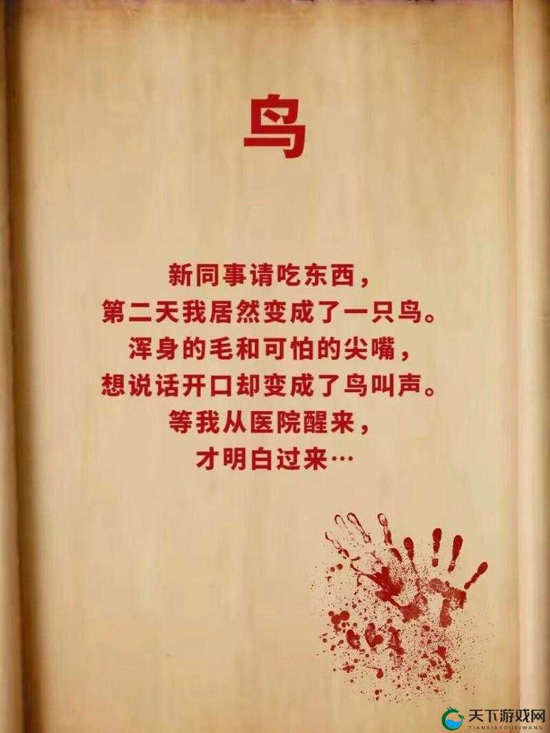 雏鸟短视频圆你一个梦，人民网对此有何看法？探秘背后的故事与意义