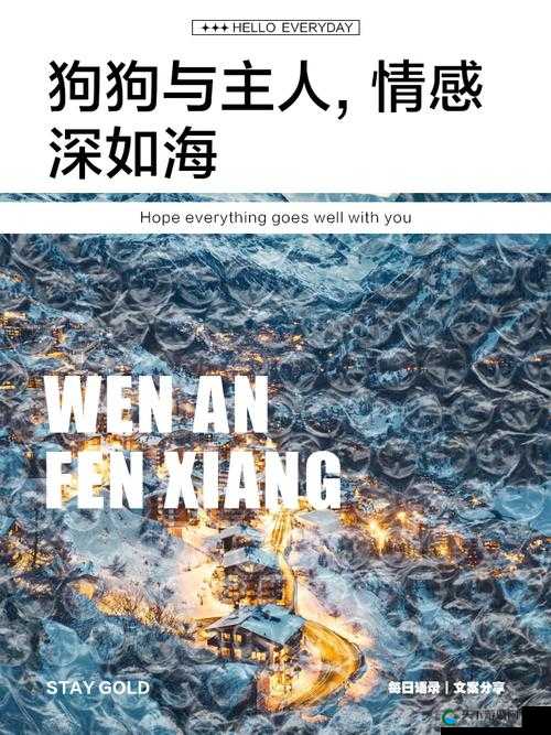 我是主人的狗，这背后有着怎样的故事与情感？一起来深入探究