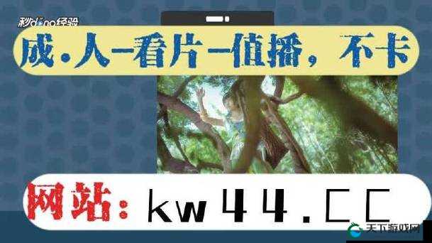 香蕉视频天天奭如何打开诱魅app网站？详细步骤与方法大揭秘