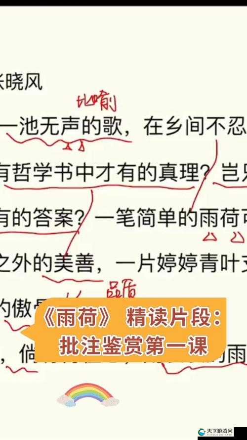 老船人弄雨荷 50 集精彩呈现，究竟讲述了怎样的故事？快来一探究竟