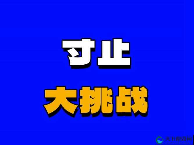 寸止挑战 8 官网：挑战极限还是超越自我？