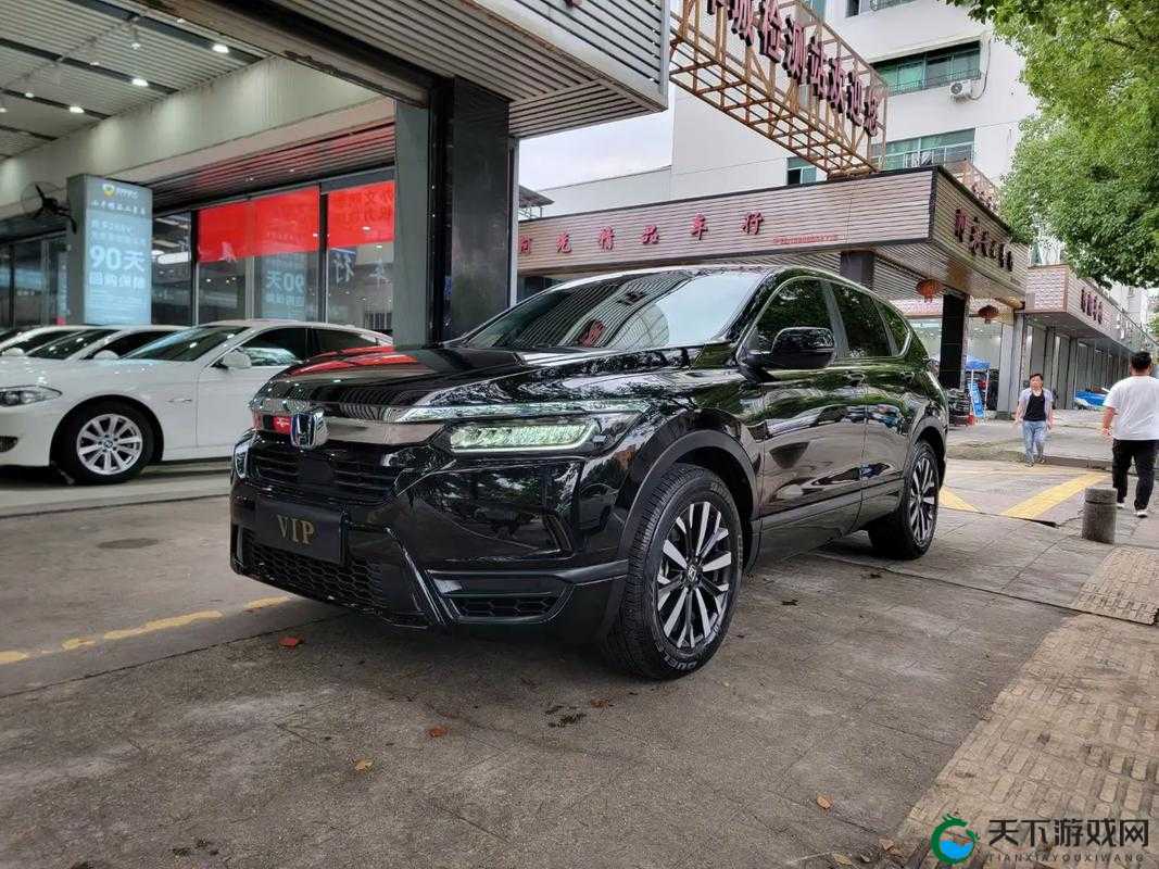 皓影锐 T 动有黑色款吗？想买黑色皓影锐 T 动的看过来