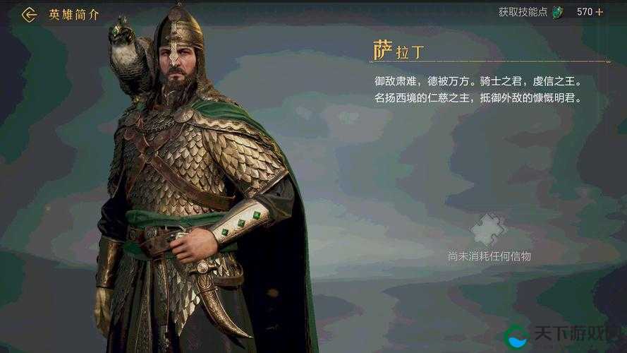 王权纷争英灵介绍，萨拉丁——资源管理的智慧之光