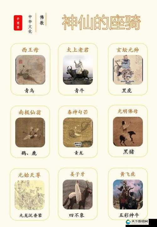 仙侠坐骑宠物玩法说明全攻略