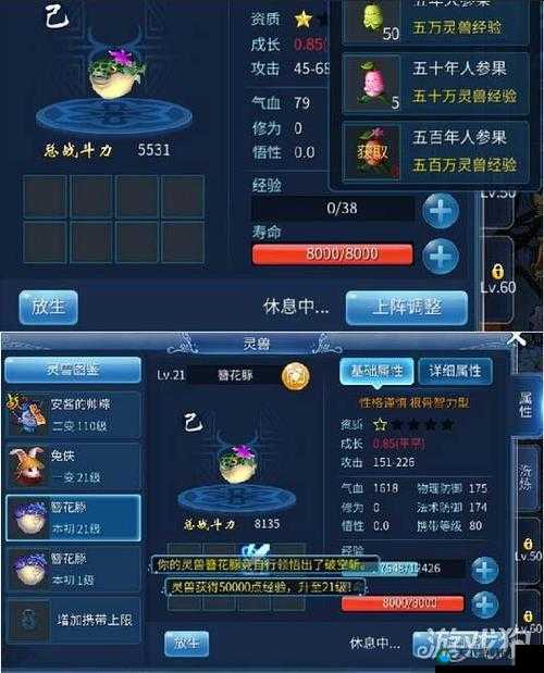 倩女幽魂手游灵兽性格定位与攻略深度剖析