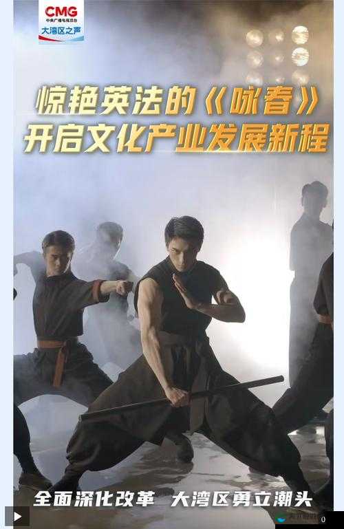 功夫全明星严咏春战斗实录[视频]演变史专题