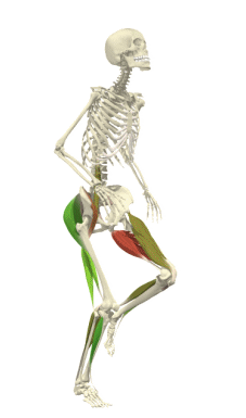 丁香园五月欧美久久：最新医学研究进展与临床实践分享，深度解析欧美医疗动态