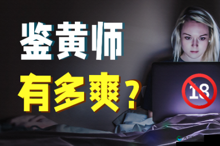 根据 v2.0.5aqk，如何成为一名优秀的鉴黄师？