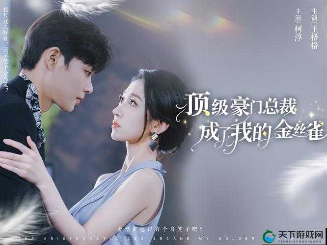 C1V1SC 总裁究竟有何独特魅力？带你深入了解 C1V1SC 总裁的传奇故事