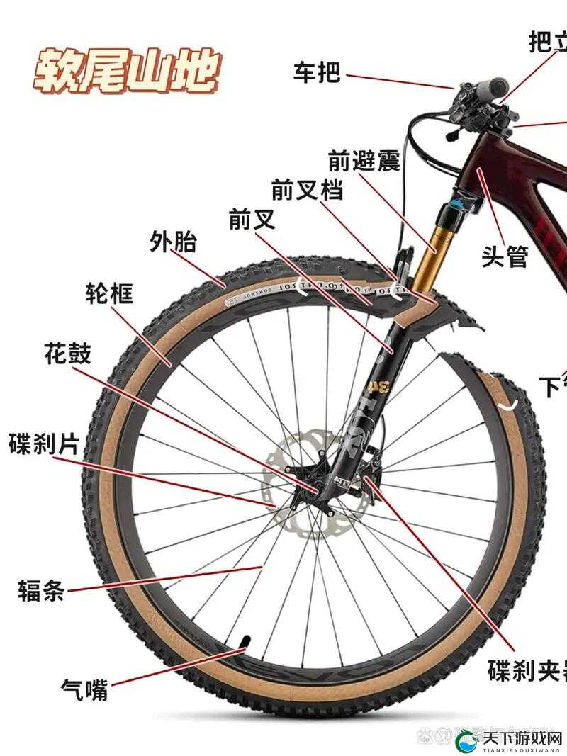 坤哥教你骑软尾单车：新手入门技巧与安全指南，轻松掌握骑行秘诀