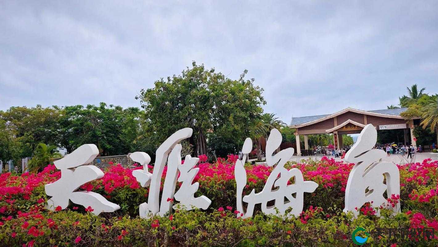 海角首页究竟有何独特魅力？带你探索海角首页背后的精彩世界