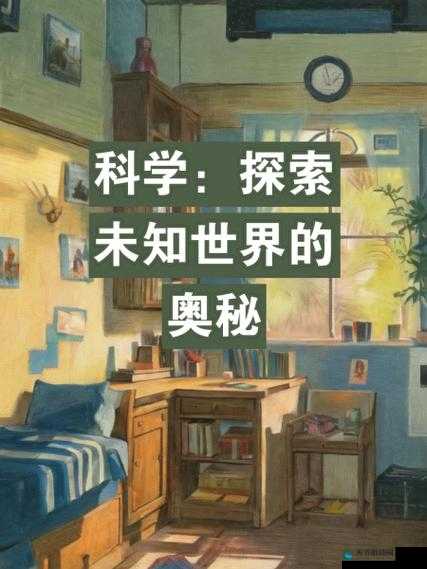 全世界最大免费网站视频：探索未知的世界