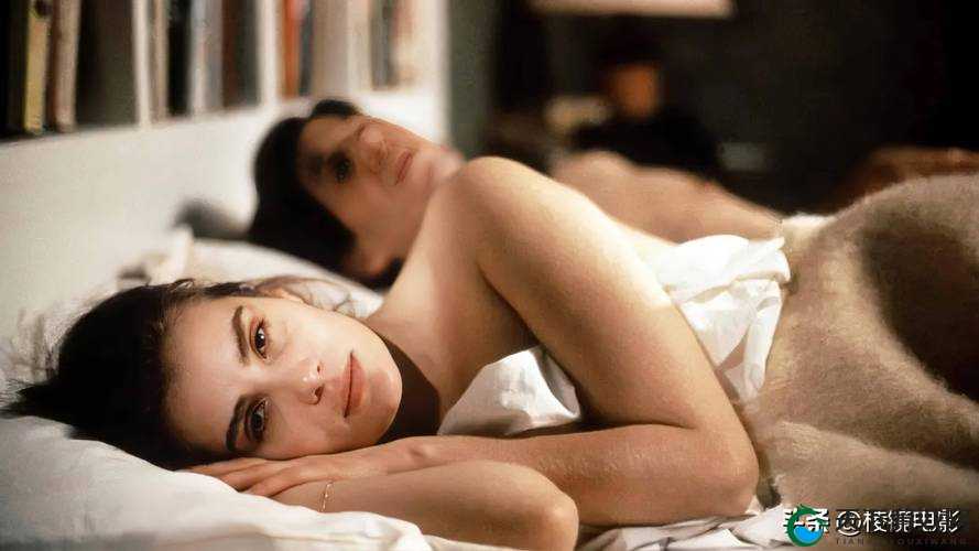 欧美高清videosfreeⅹ：探索激情与魅力的世界