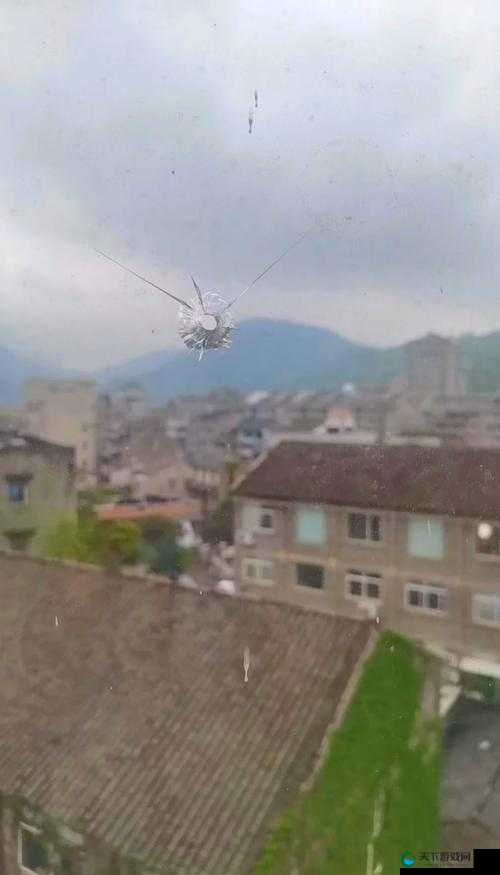 2023 年落地窗头撞玻璃事件，9 分 10 秒究竟发生了什么？快来一探究竟