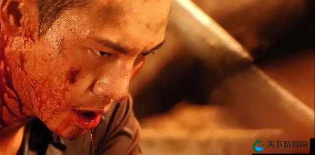 血腥暴力2免费播放链接：高清完整版在线观看，惊悚剧情一触即发，不容错过的刺激体验