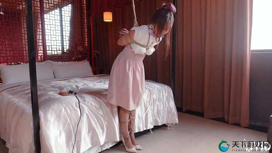 欧美另类视频资源免费分享，你会喜欢吗？