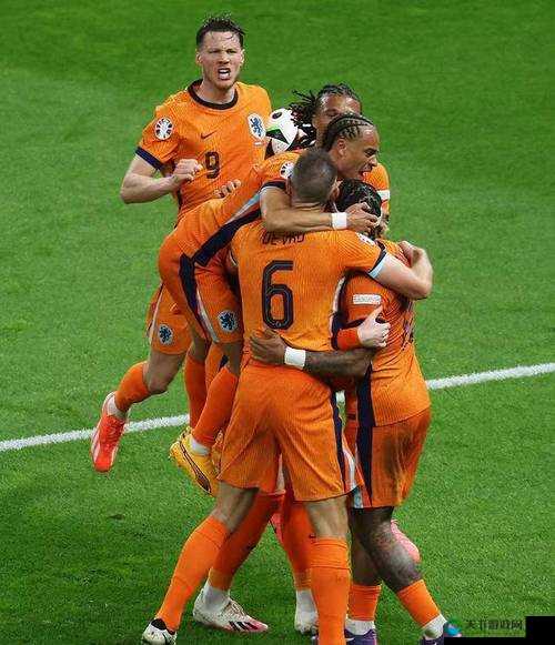 荷兰合体大赛精彩瞬间：选手高难度动作惊艳全场，观众直呼过瘾