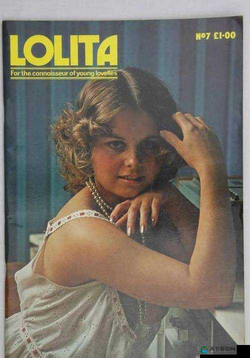 荷兰初中小女孩 1971：一个关于成长、勇气与爱的故事