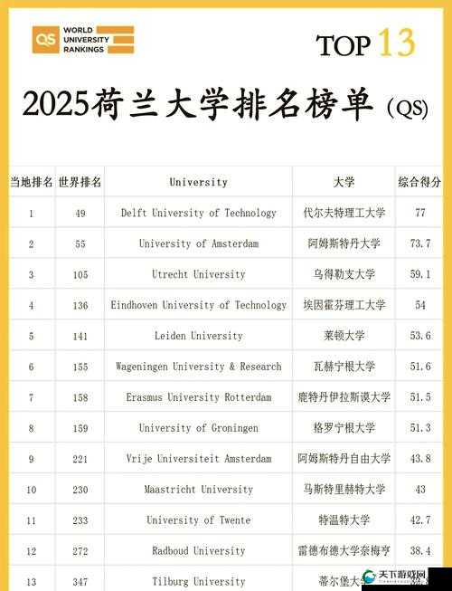 荷兰姓交大2023年最新动态：其教育体系与学术成就