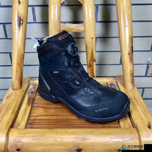 雅娜的 IDG-5527 是什么？它有什么特别之处？