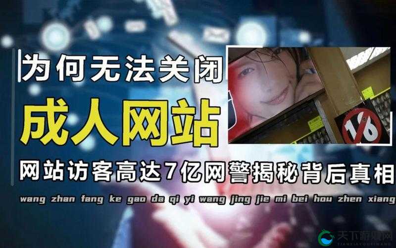 成品禁用 B 站入口网站，为何会被禁用？后果有多严重？