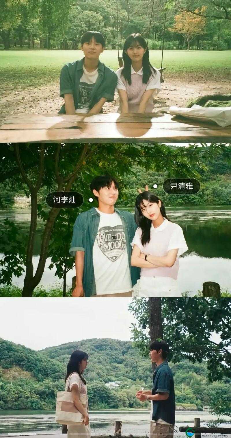 最美情侣中文版免费西瓜究竟是什么？快来一探究竟