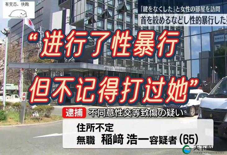 探秘japan乱配videos中的老少配现象：文化差异与网络热议背后的深层解读