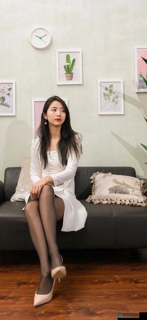 探索国产丝袜美女在线高潮网站的独特魅力，揭秘高质量内容背后的视觉盛宴与用户体验