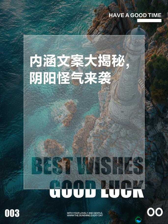 五月综合究竟是什么？全面解读五月综合的内涵与意义大揭秘