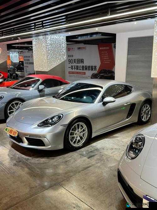 718·SX 究竟是什么？带你深入了解 718·SX 的神秘面纱与独特魅力