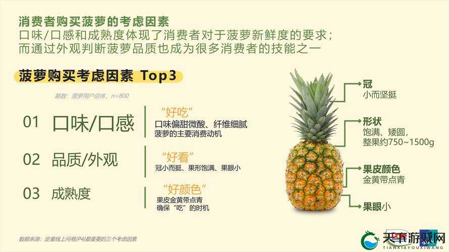 福建大菠萝导航官方 2023 到底是什么？为何备受关注？快来一探究竟