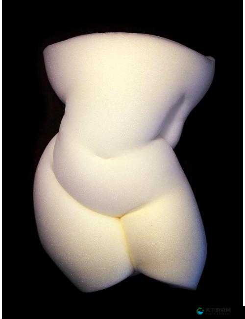 探索aSS裸妇漂亮人体piCs的艺术之美：高清图集与摄影技巧全解析