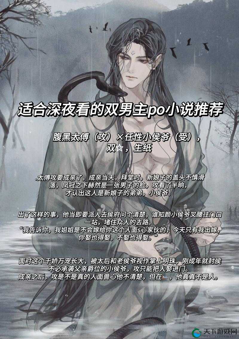 双男主小说推荐：哪些热门作品值得一读？探索经典与新兴佳作的全方位指南