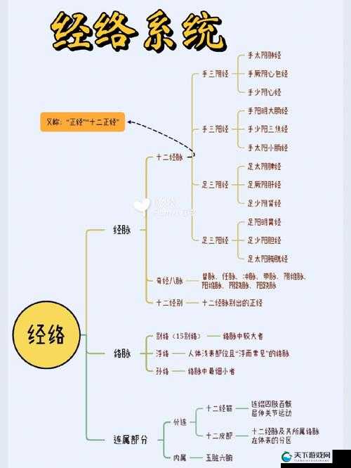 美人记系统介绍，玩转经脉系统全攻略