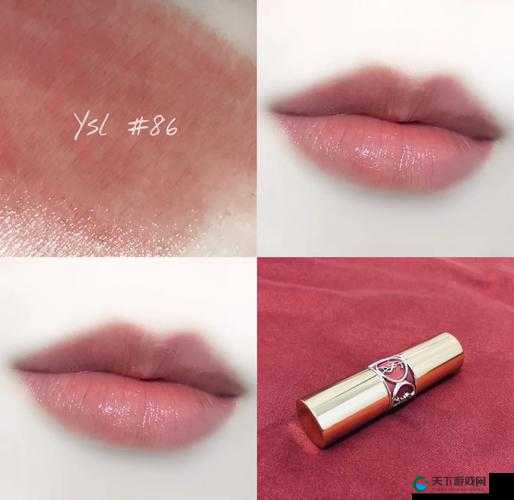 YSL 水蜜桃 86 官方官网是什么？带你了解其背后的故事与特色