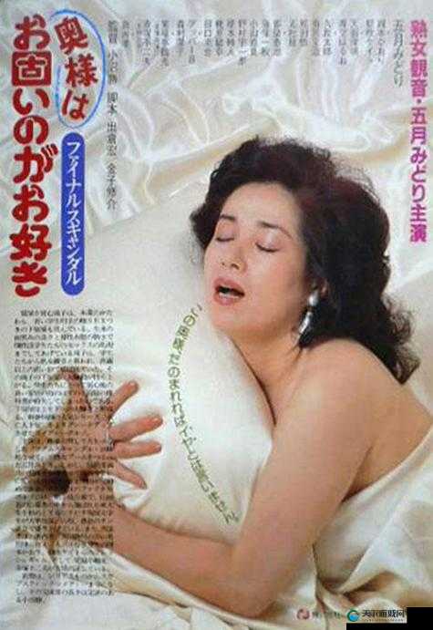 探索人妻Japan HD XXXX Videos的独特魅力：揭秘日化中的家庭生活与情感故事