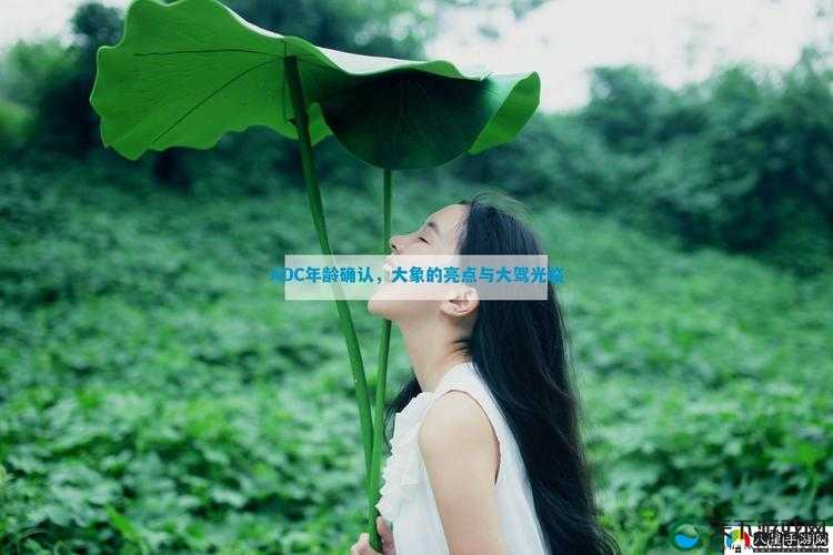 ADC年龄确认大驾光临大象：探索其独特魅力与神秘色彩，揭开背后的故事与传奇